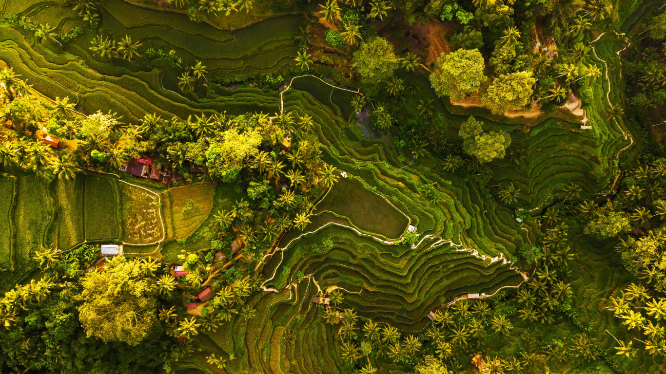Agriculture landscape