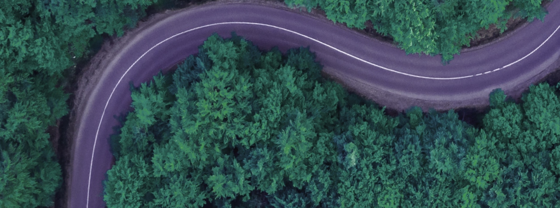 Los conductores españoles apuestan por la sostenibilidad: más del 92 % quiere contribuir a una industria automovilística más ecológica