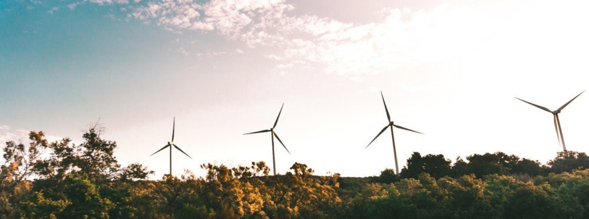 sustainability