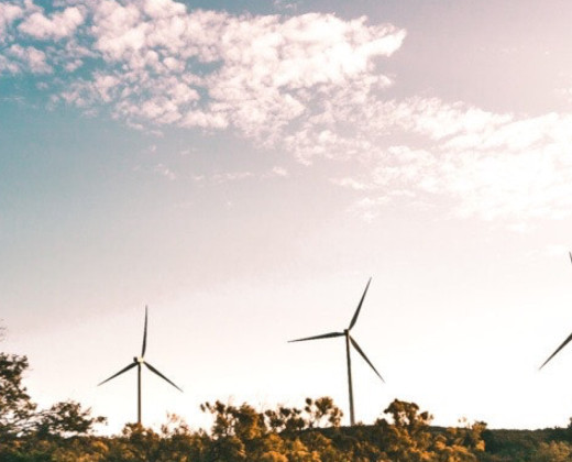 sustainability