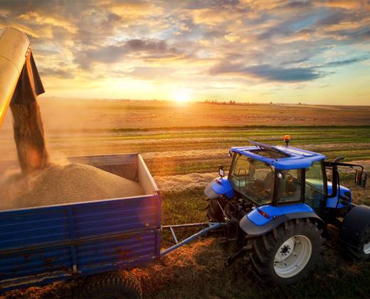 v2Thumbnails_1_text_left_Agriculture_help_your_agricultural_business_thrive@2x.jpg