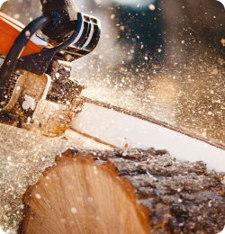 chainsaw